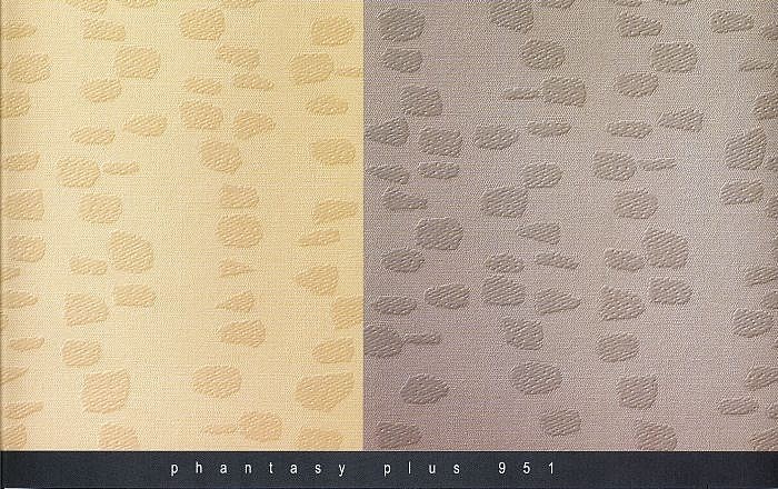 Phantasy_plus_951