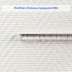 Антивандальные обои Профитекс P 85