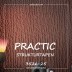 Виниловые обои на флизелиновой основе Practic 3526-25
