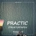 Флизелиновые обои Practic Strukturtapeten 3526-25