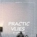 Виниловые антивандальные обои Practic Vlies Band А-004-25