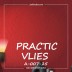 Виниловые обои на флизелиновой основе Practic А007-25