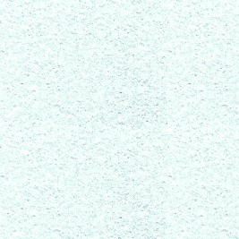Пигментированный холст под покраску Бостон от BauTex Design 1*30м