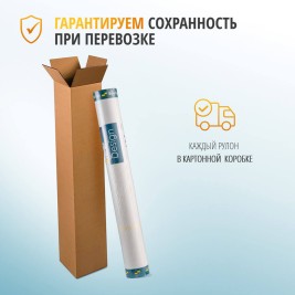 Пигментированный холст под покраску Бостон от BauTex Design 1*30м