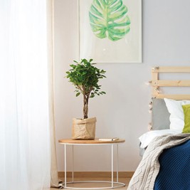Обои под покраску Дублин от BauTex Design 1*25м