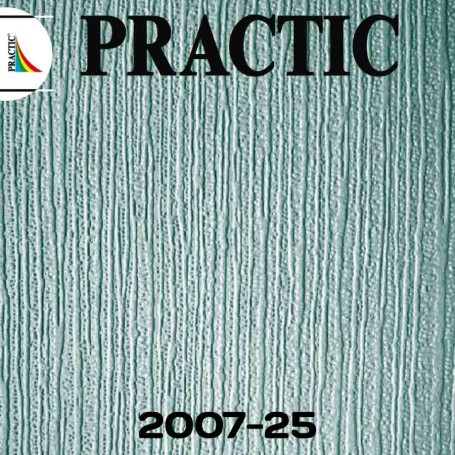 Обои Practic Vlies Band 2007-25