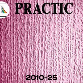 Обои Practic Vlies Band 2010-25 винил на флизелине 1,06*25 м