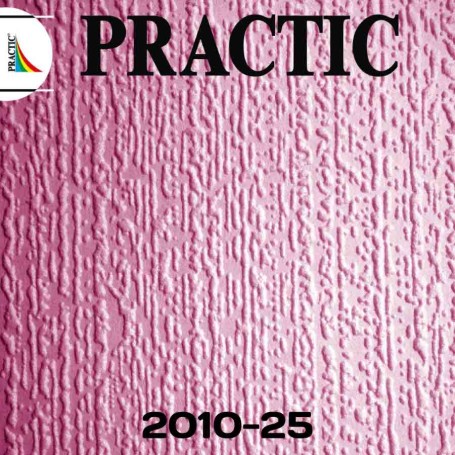 Виниловые обои структурные Practic 2010-25