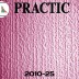 Виниловые обои структурные Practic 2010-25