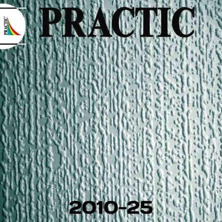 Обои под покраску Practic 2010-25 Vlies Band