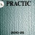 Обои под покраску Practic 2010-25 Vlies Band