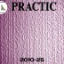 Обои Practic Vlies Band 2010-25