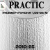Обои Практик 2010-25 в рулоне 1,06х25 м
