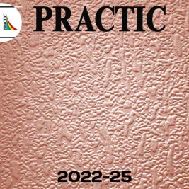 Обои Practic Vlies Band 2022-25 винил на флизелине 1,06*25 м