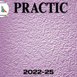 Обои Practic Vlies Band 2022-25 винил на флизелине 1,06*25 м