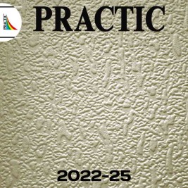Обои Practic Vlies Band 2022-25 винил на флизелине 1,06*25 м