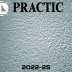 Обои Practic Vlies Band 2022-25