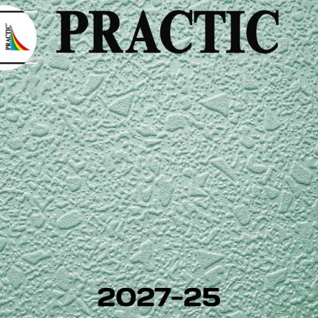 Виниловые обои структурные Practic 2027-25