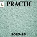 Виниловые обои структурные Practic 2027-25